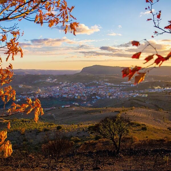 Discover the Charms of Freixo de Espada à Cinta: History, Culture, and Natural Beauty