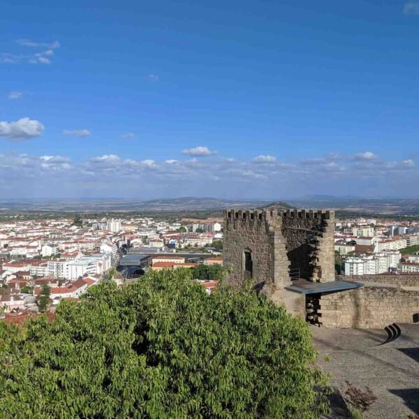 Discover the Hidden Charms of Proença-a-Nova: A Guide to the Best Things to Do and See in Castelo Branco Region