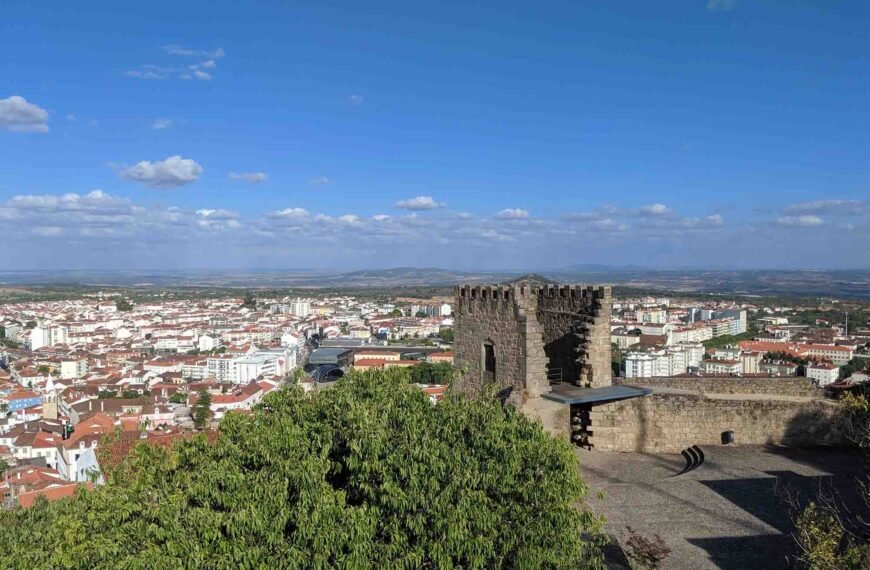 Discovering Castelo Branco: A Culinary Adventure at Hamburg Area