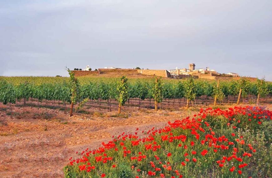 Discovering the Marvels of Estremoz: A Charming Portuguese Village