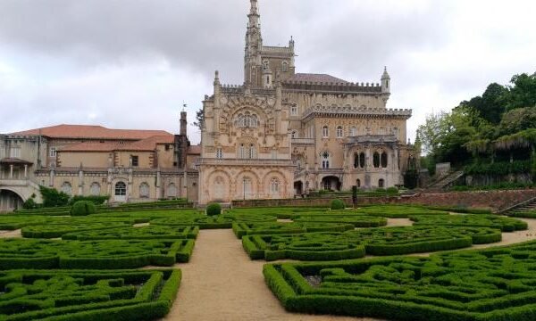 Exploring Mealhada: Unveiling the Hidden Treasures of Aveiro Region