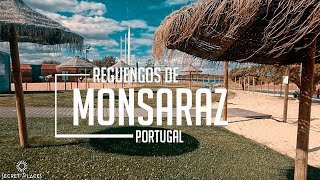 Exploring Reguengos de Monsaraz: Unveiling the Charms of Alentejo